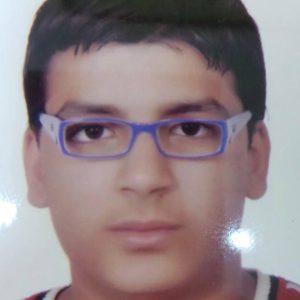 Ali Mohamed Abd Al-Ghafar